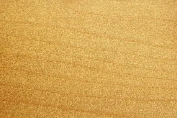 natural wood, hardwood, mango wood, close up texture